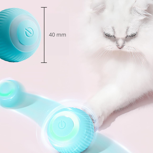 Micio ball- Il gioco che risveglia l'istinto del tuo gatto